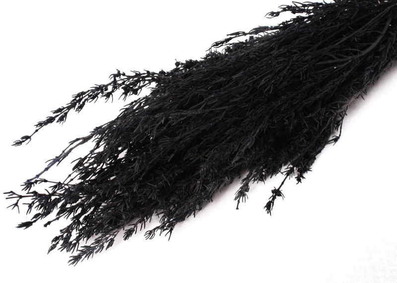 Dried Grabia Black 50g