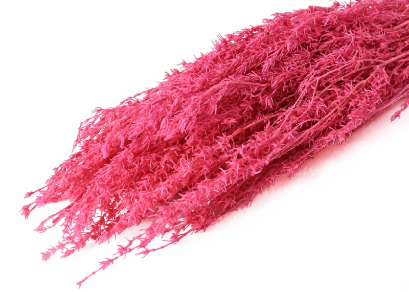 Dried Grabia Fuschia 50g