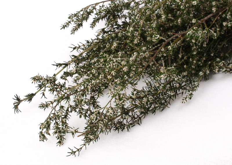 Picture of Dried Grabia 75g