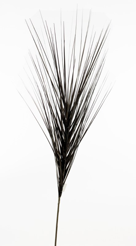 Christmas Onion Grass Black/ Silver 48"