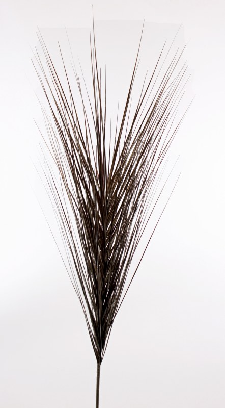 Picture of Christmas Onion Grass Black/ Gold 48"