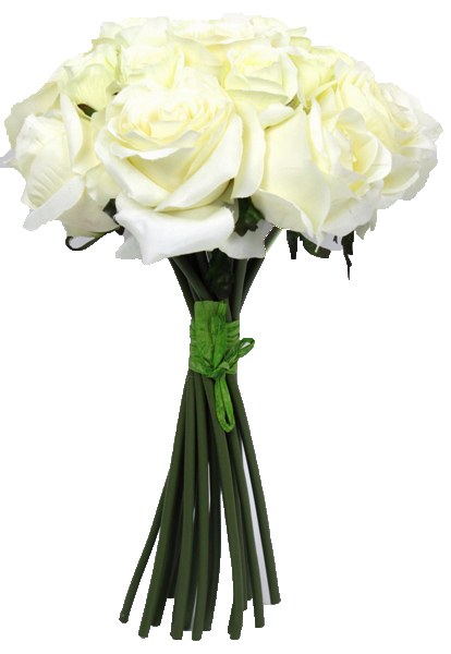 Cream silk rose bush with 18 stems, height-40cm
