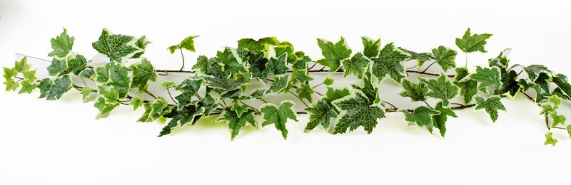 Artificial Variegated Ivy Garland 6ft