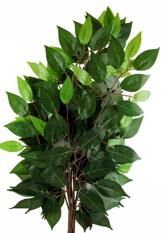 Artificial Ficus Bundle 56cm x 6pcs