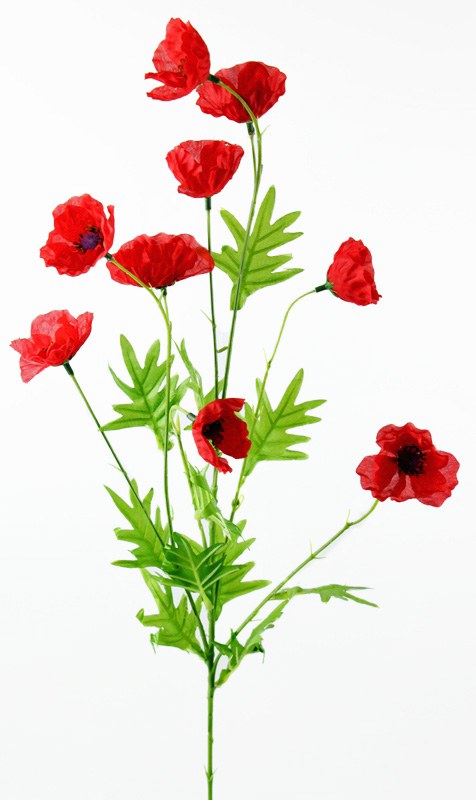 Artificial Poppy Stem Red 80cm