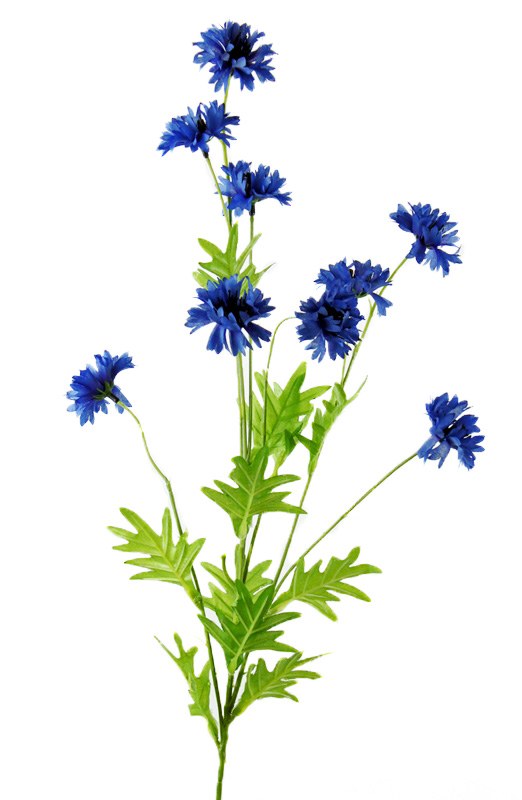 Picture of Artificial Cornflower Blue Flower 82cm