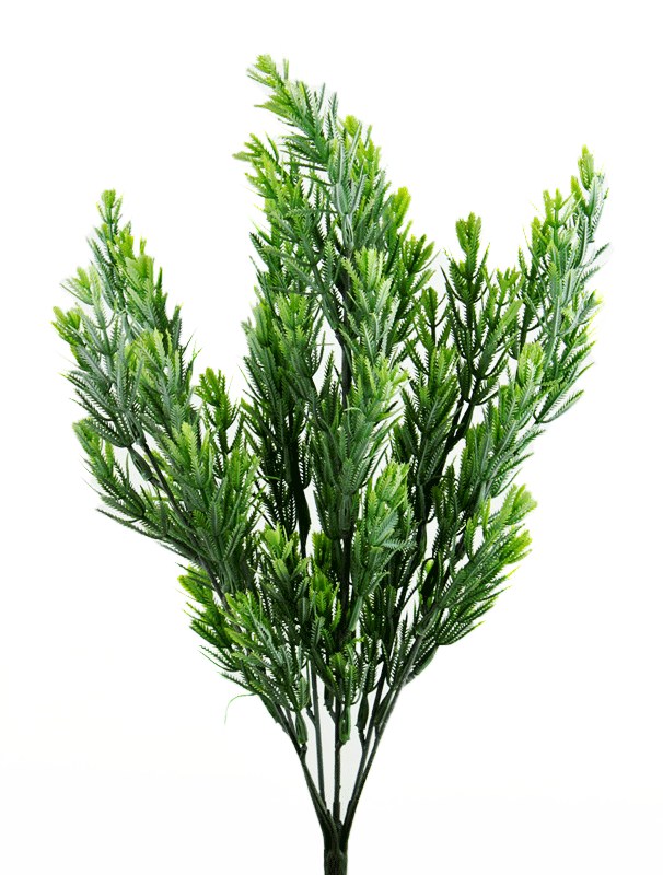 Picture of Greenery Fern Bunch x 2
