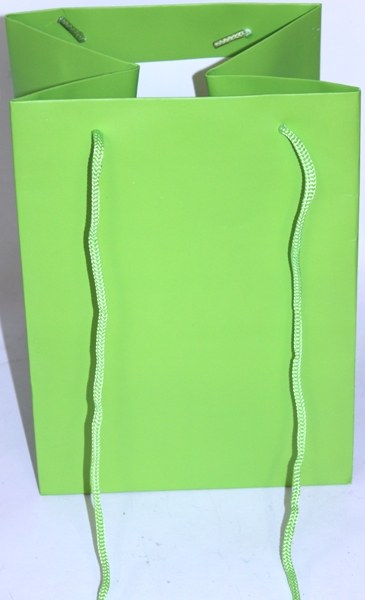 Florist bag lime green x 10