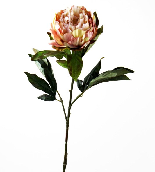 Artificial Peony Flower Long Stem Pale Pink