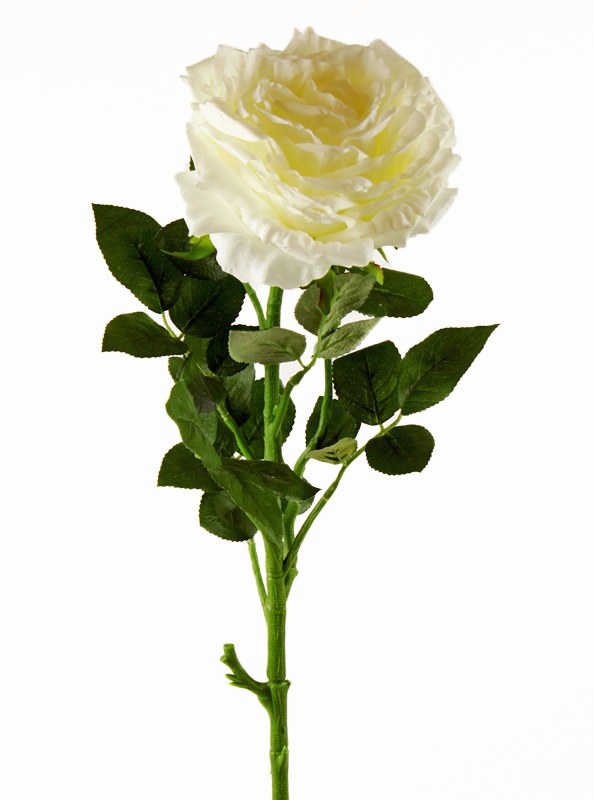 Artificial Rose Single Long Stem - 65cm - Ivory