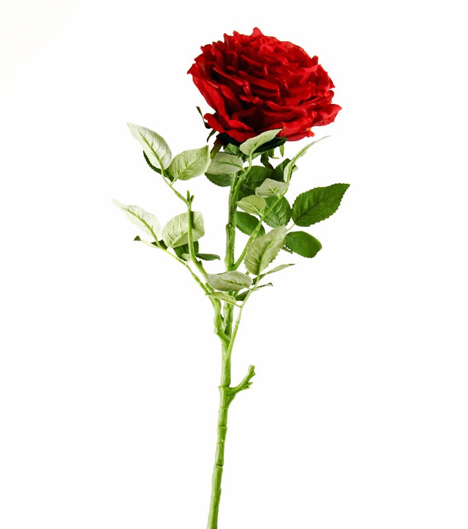 Artificial Rose Single Long Stem - 65cm - Red - www.floralsundries.com ...