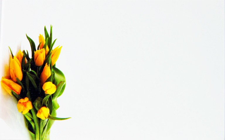 Florist Cards Small Yellow Tulips x 50