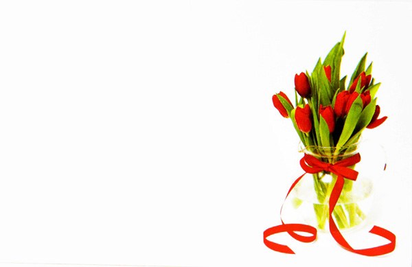 Florist Crads Small Tulip Red x 50pcs