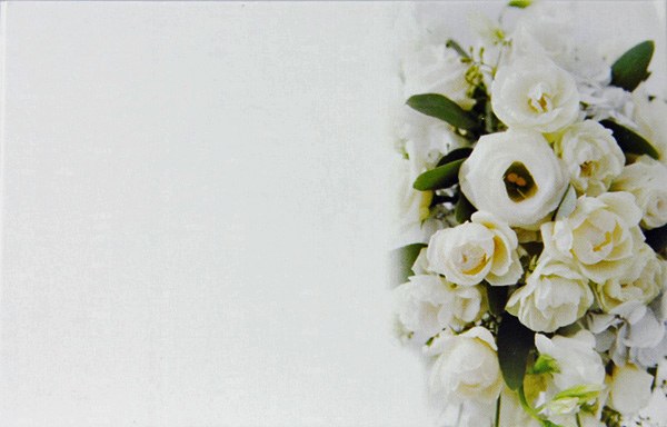 Florist Gift Cards Small x 50pcs