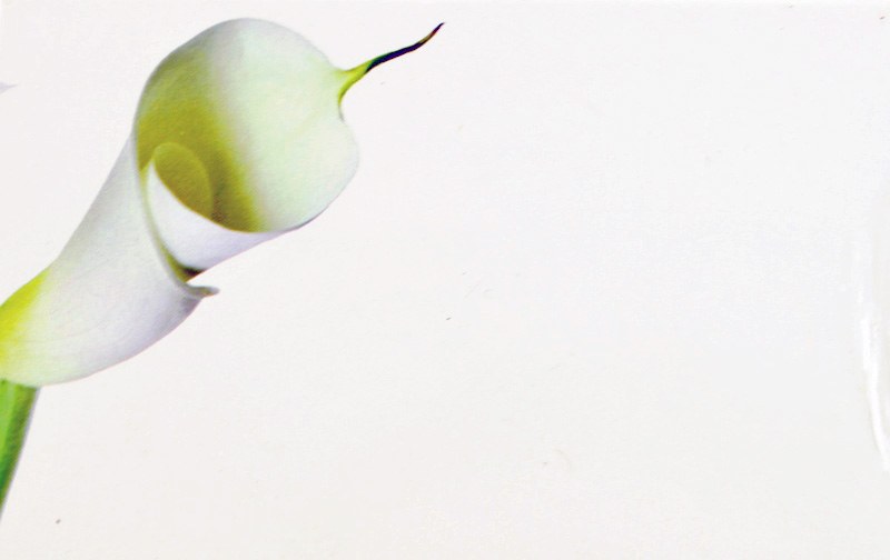 Picture of Florist Cards Small x 50pcs