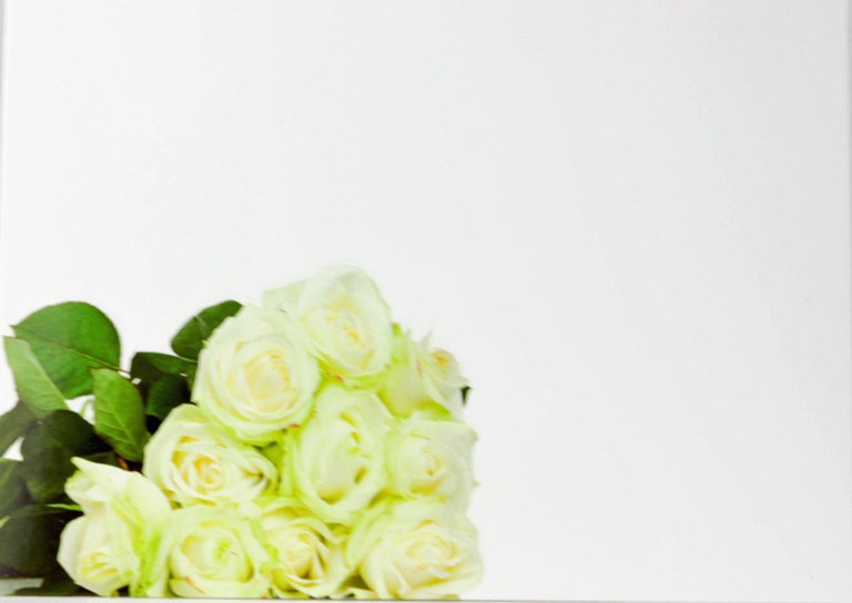 Florist Cards Large Rose x 9pcs