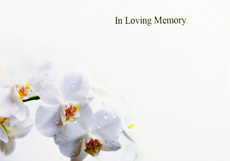 Picture of CARDS X50 ILM WHITE ORCHID