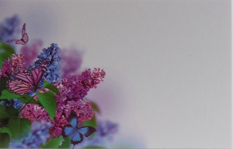Picture of Florist Cards Small Purple Butterfly x 50