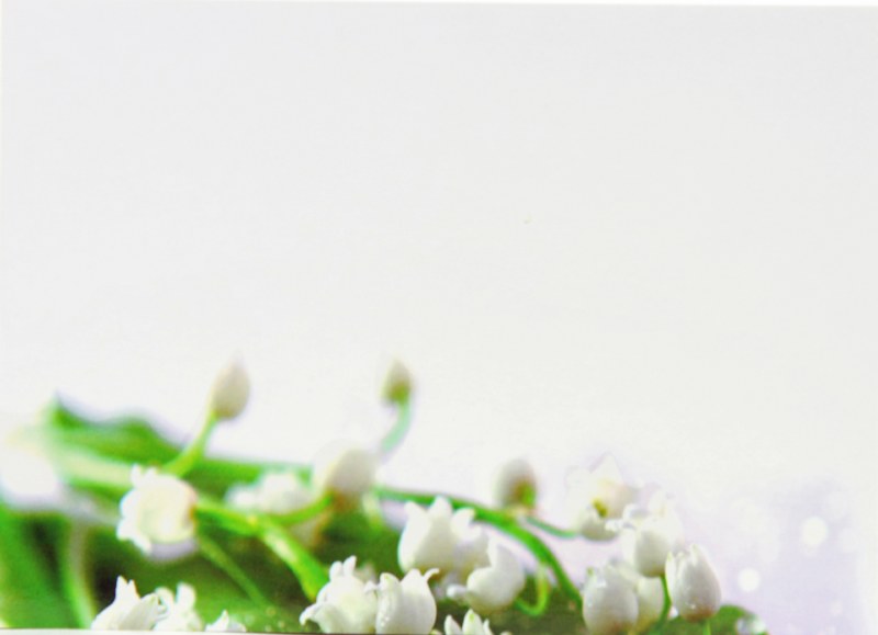Florist Cards Large Lily Of The Valley x 9pcs