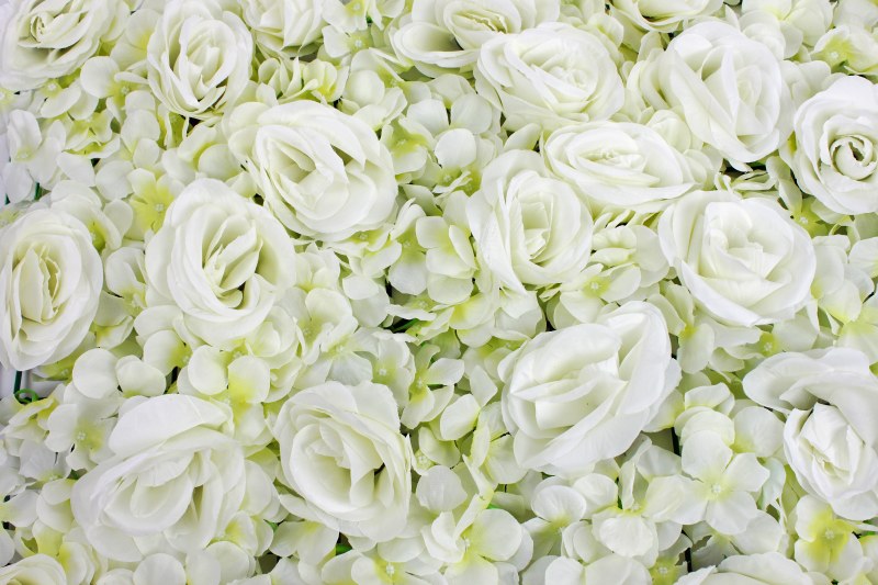 Hydrangea & Rose Flower Wall 23" x 16" approx
