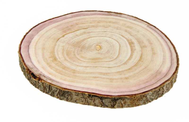 Picture of Wood Slice Approx 30cm