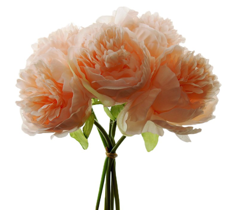 Artificial Peony Rose Bundle Peach 5 Stems