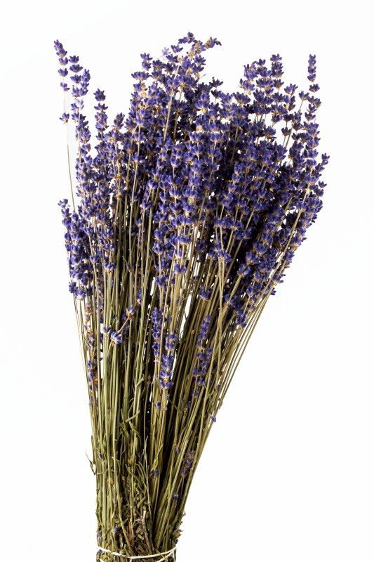 Picture of Dried Lavender 100gr