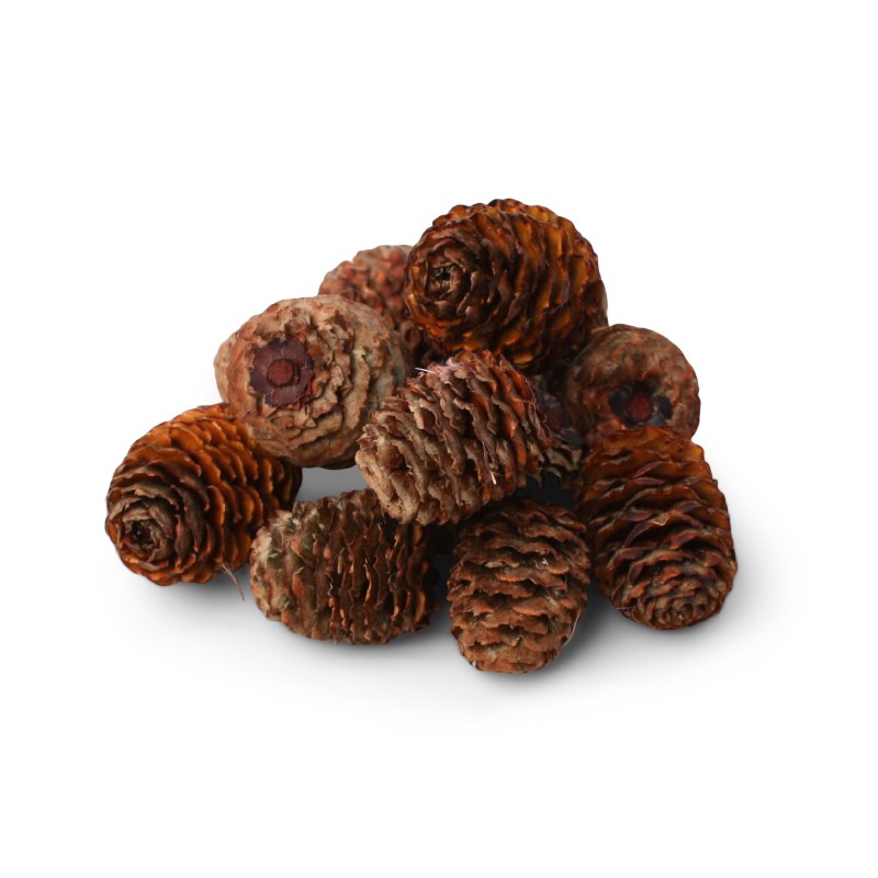 Larch Cones 500g Brown