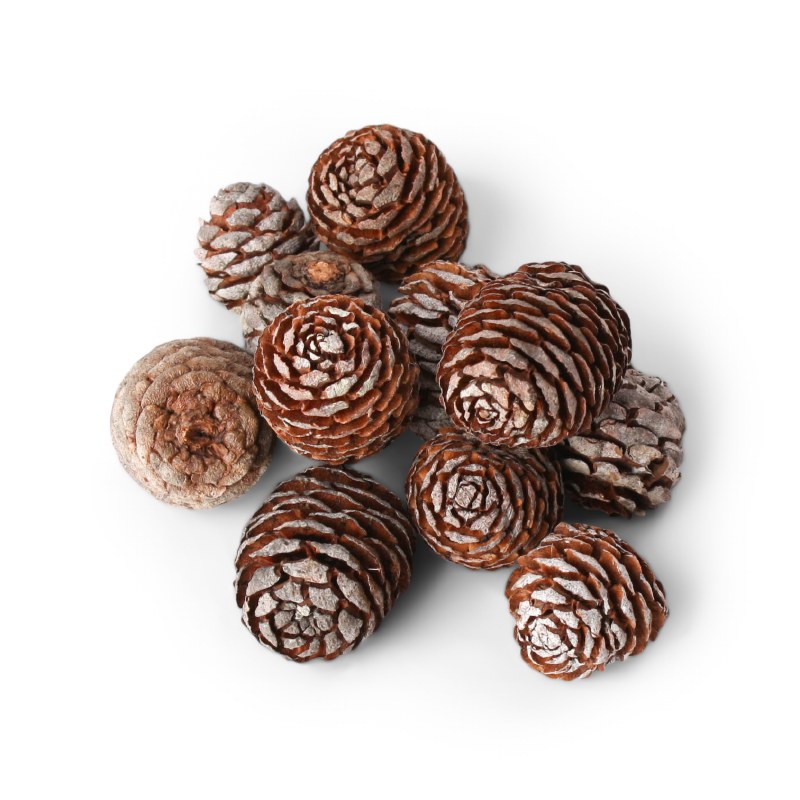Muirii Cone 500g Natural