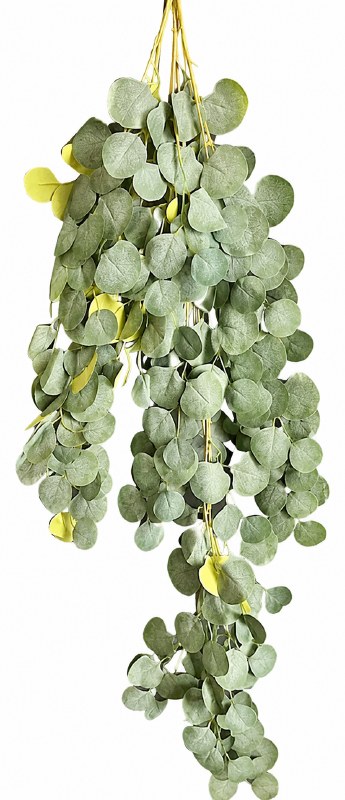 Eucalyptus Hanging Garland 132cm Frosted