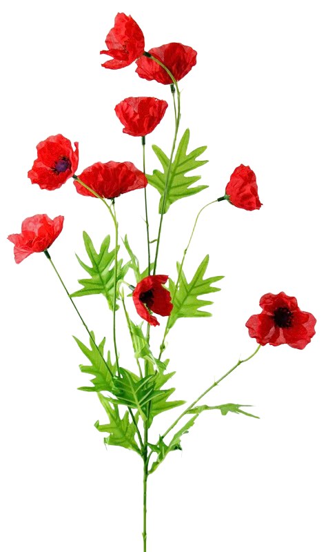 Artificial Poppy Stem Red 80cm