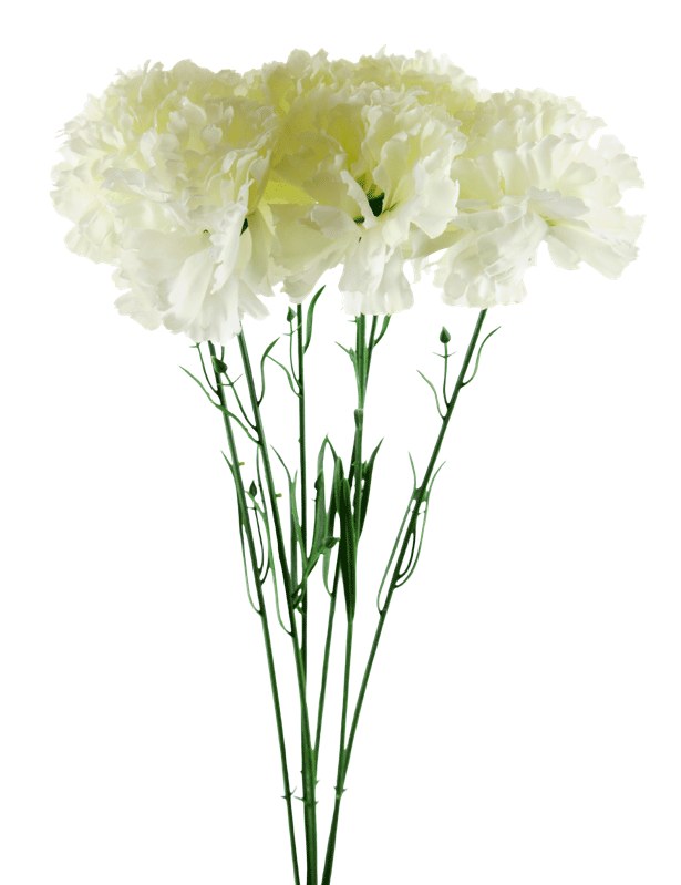 Picture of Silk Ivory carnations x 6-46cm