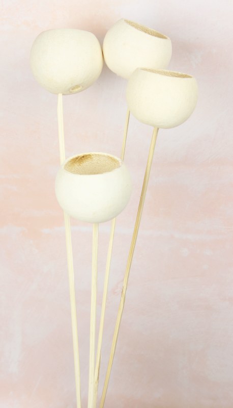 Bell Cup on Stem Bleached x 4