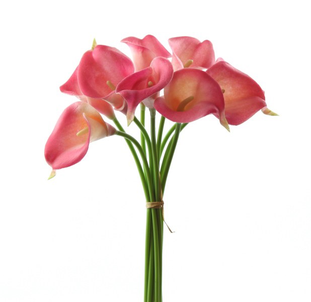 Calla lily bundle x 9 stems Pink