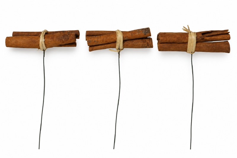Cinnamon Stems with Raphia x 20