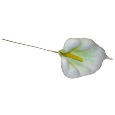 Christmas Calla Lily White x 100
