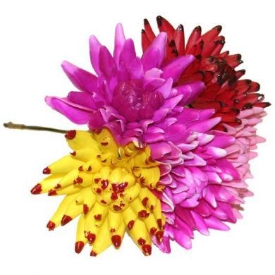 Picture of Plastic Spike Dahlia Pick Assorted x 100