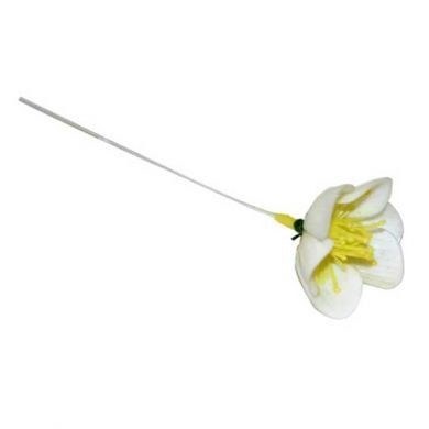 Plastic Xmas Rose Mini White x 144