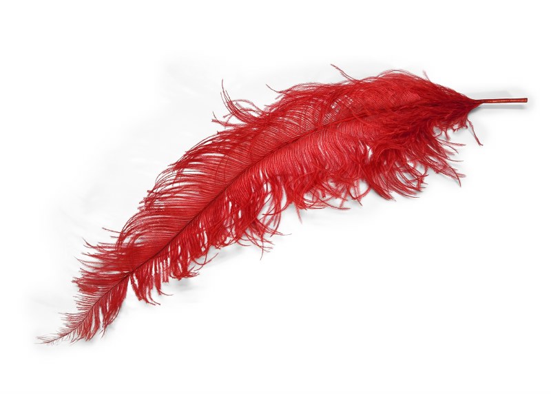 Ostrich Feathers x 5 Red