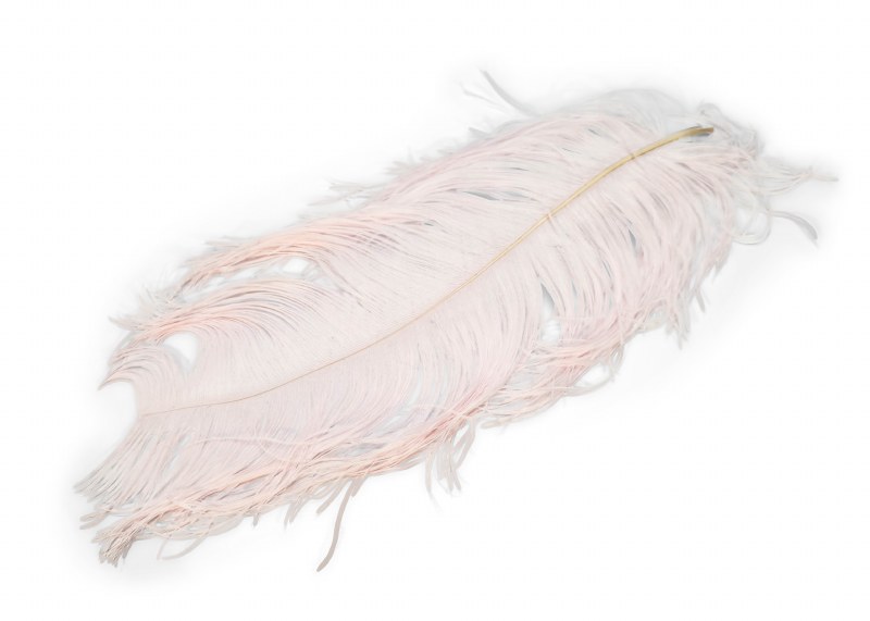 Ostrich Feathers x 5 Light Pink