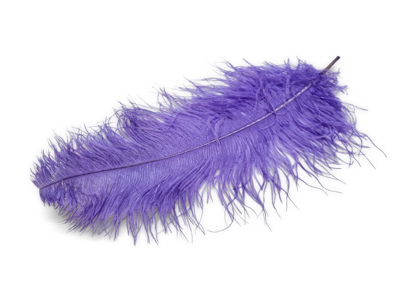 Ostrich Feathers x 5 Lilac