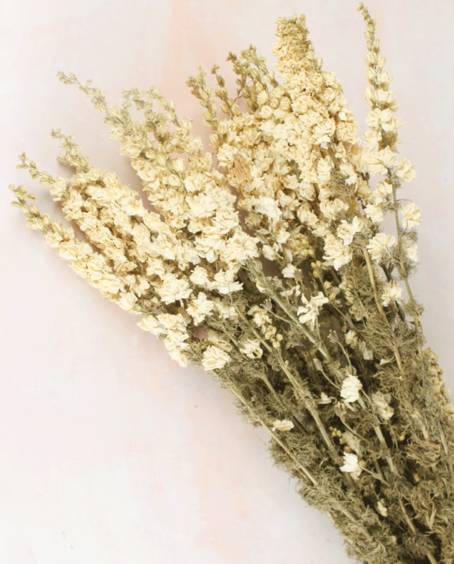 Picture of Dried Delphinium White 100g