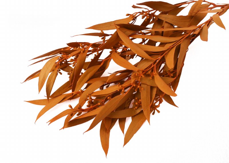 Dried Amber Fruit Foliage Orange 75g