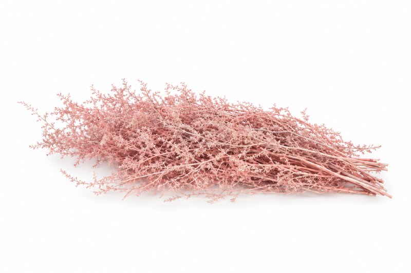 Dried Asparagus Wild Pink