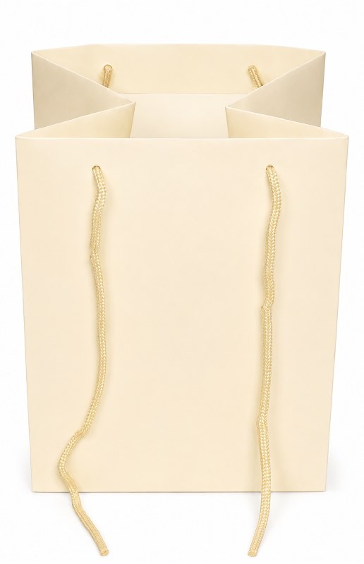 Florist bag x 10 cream