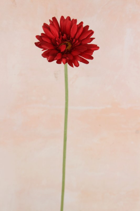 Picture of Artificial Gerbera Red 55cm