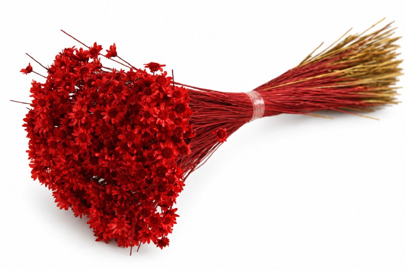 Dried Glixia Red