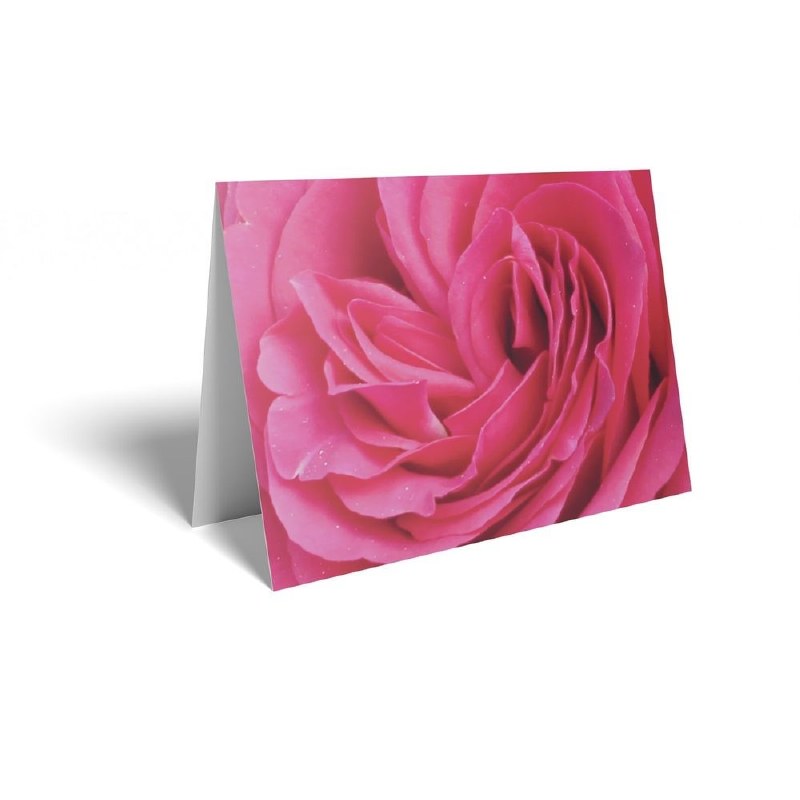 Picture of Florist Folding Cards x 25 Pink Rose
