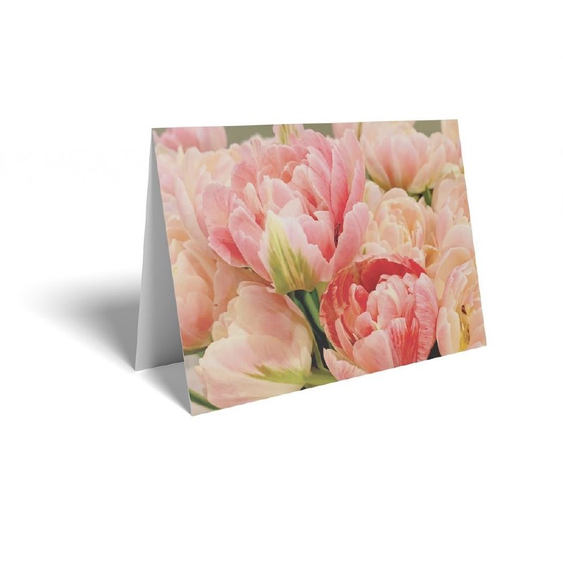 Florist Folding Cards x 25 Tulips