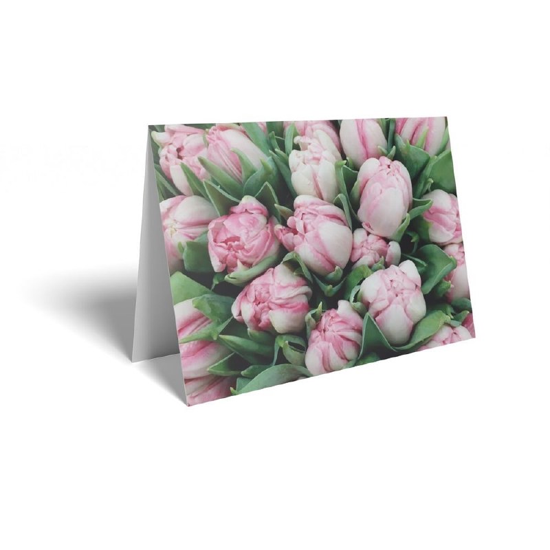 Picture of Florist Folding Cards x 25 Tulips
